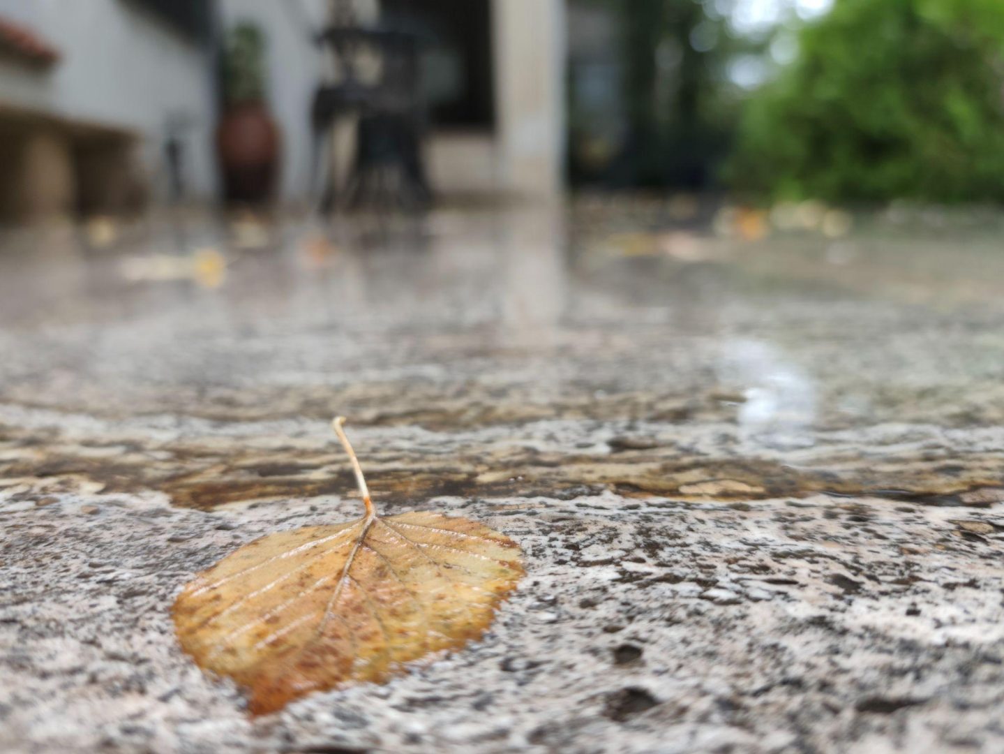 EkoGroup Vila – gazda perfectă pentru conferințe și evenimente corporate